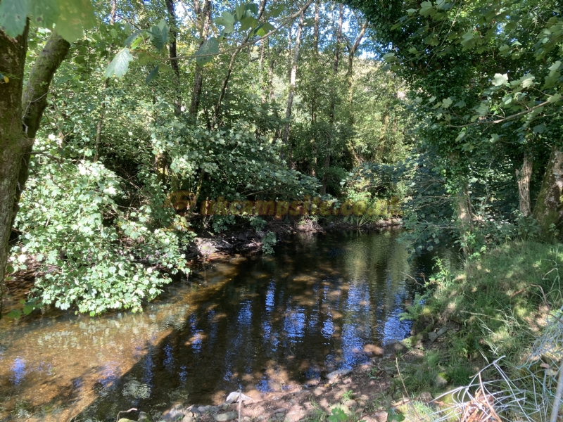 Long Meadow Certificated Location