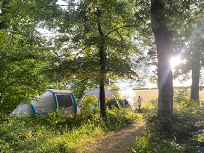 Barhams Woodland Camping