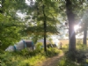Barhams Woodland Camping Barhams Woodland Camping