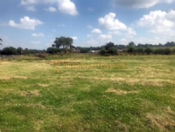 Hotel Farm Campsite