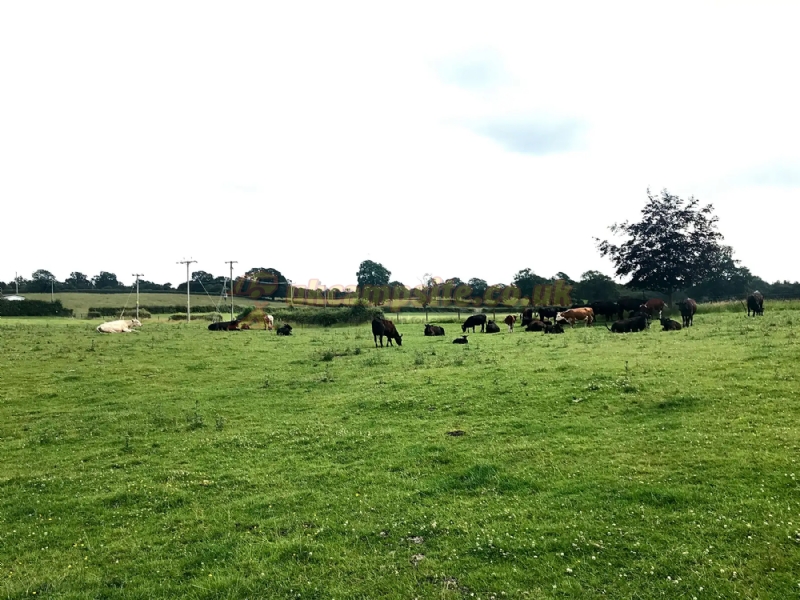 Hotel Farm Campsite