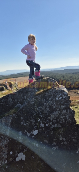 Brayshaw View Glamping And Camping