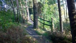 Beckses Caravan Park