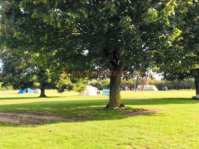 Ladybird Farm Pop Up Campsite