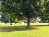 Ladybird Farm Pop Up Campsite Ladybird Farm Pop Up Campsite