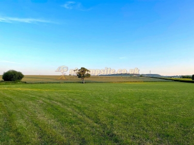 Charlynch Meadow Camping