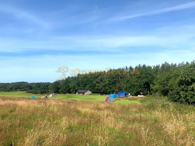 Nantrwydd Camping
