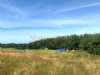Nantrwydd Camping