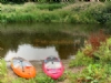 Riverside Camping Riverside Camping
