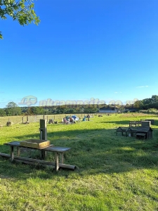 Orchard View Campsite