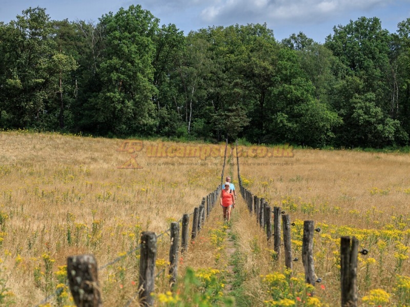 Camping Huttopia De Meinweg