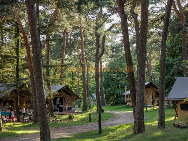 Camping Huttopia De Veluwe