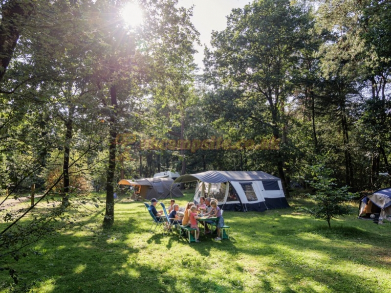Camping Huttopia De Veluwe
