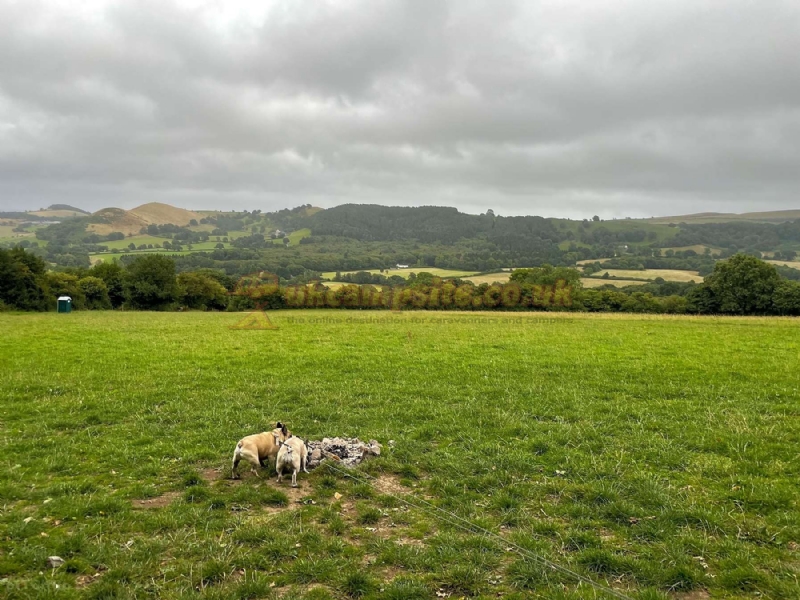 Lower Vessons View Camping