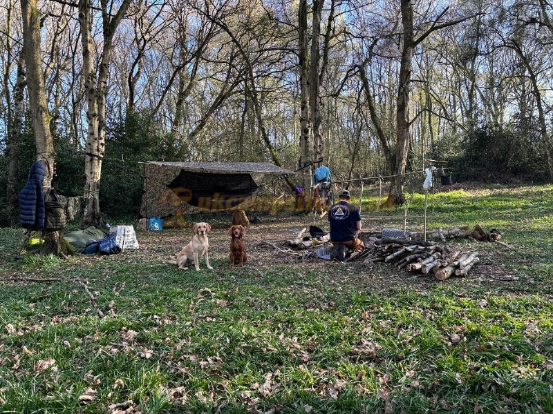 Lower Vessons View Camping