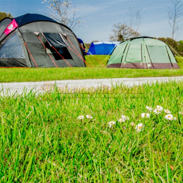 Hawkshead Hall Farm Campsite