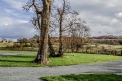 Hawkshead Hall Farm Campsite