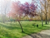 Camping El Eden