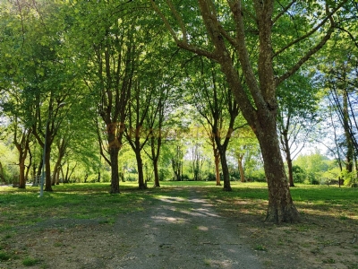 Municipal Camping De Magnerit Municipal Camping De Magnerit