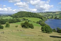 Waterfoot Caravan Park