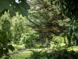 Royal Umpire Holiday Park