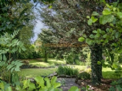 Royal Umpire Holiday Park