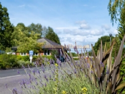 Royal Umpire Holiday Park