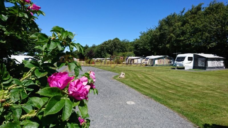 Moss Wood Caravan Park
