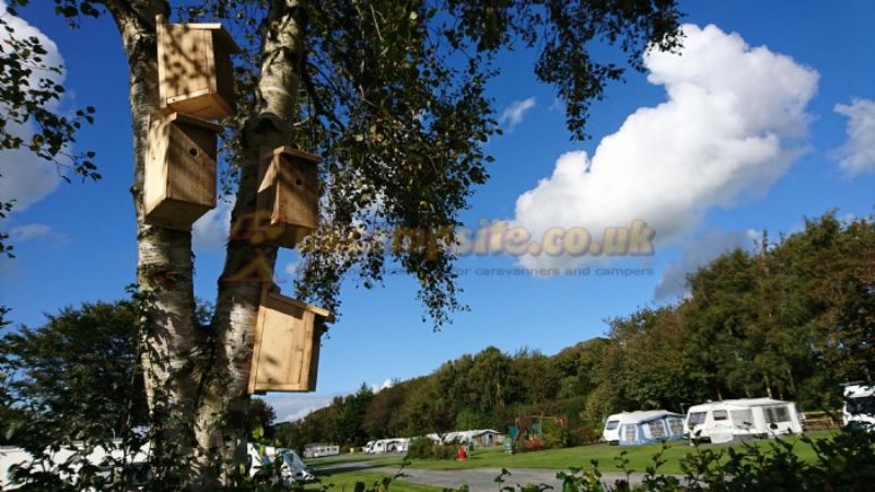 Moss Wood Caravan Park