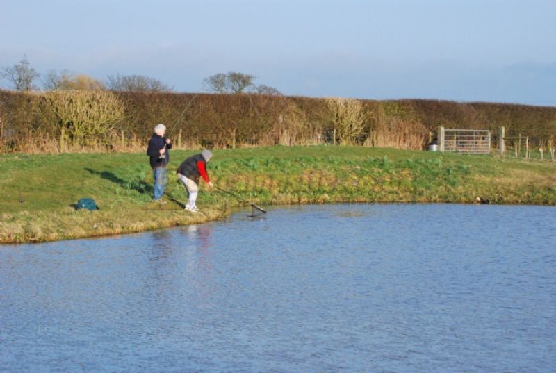 Moss Wood Caravan Park