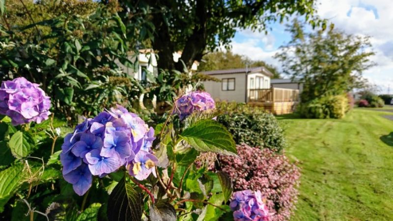 Moss Wood Caravan Park