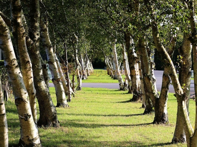 Eastham Hall Holiday Park