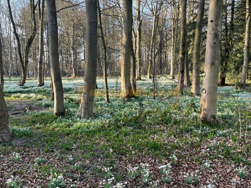 Eastham Hall Holiday Park