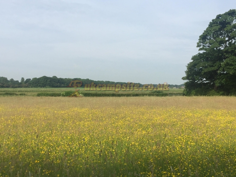 Eastham Hall Holiday Park