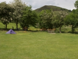 Small Batch Camp Site