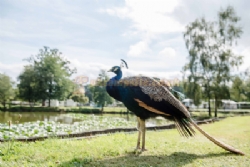 Stanmore Hall Touring Park