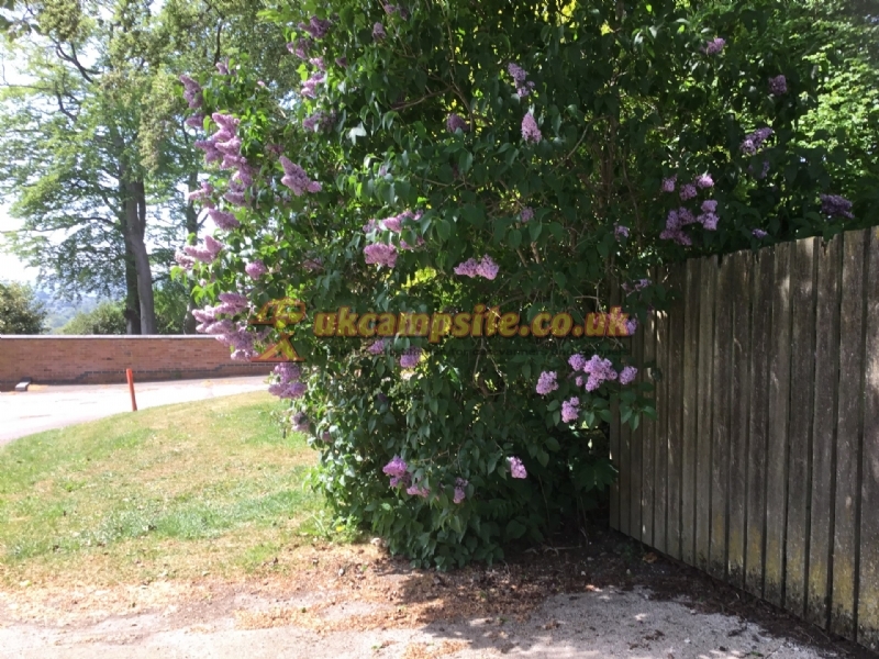 Bank Top Farm Caravan And Camping