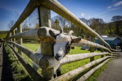 Beech Croft Farm
