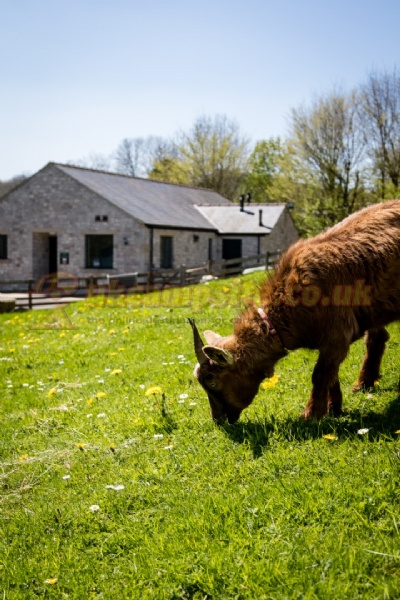 Beech Croft Farm