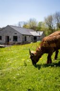 Beech Croft Farm