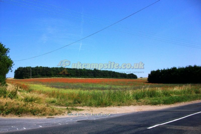 Orchard View Caravan And Camping Park