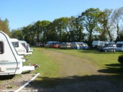 White House Camp Site