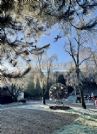 Two Mills Touring Park