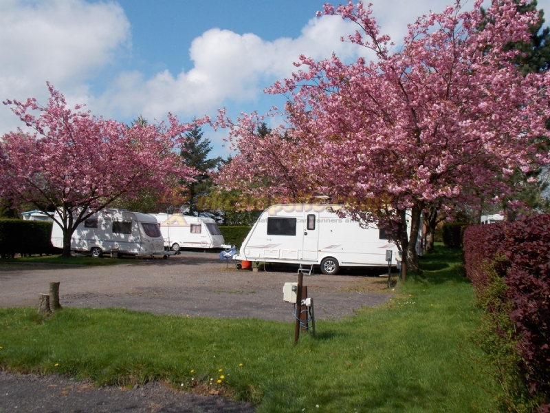 Braids Caravan Park