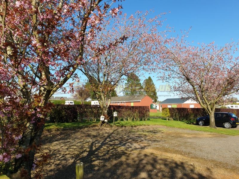 Braids Caravan Park