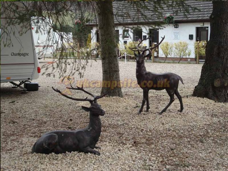 Witches Craig Caravan Park