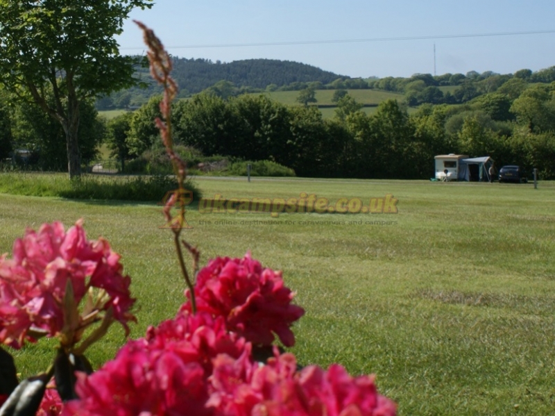 Kingsbridge Caravan Park