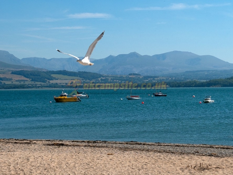 Kingsbridge Caravan Park