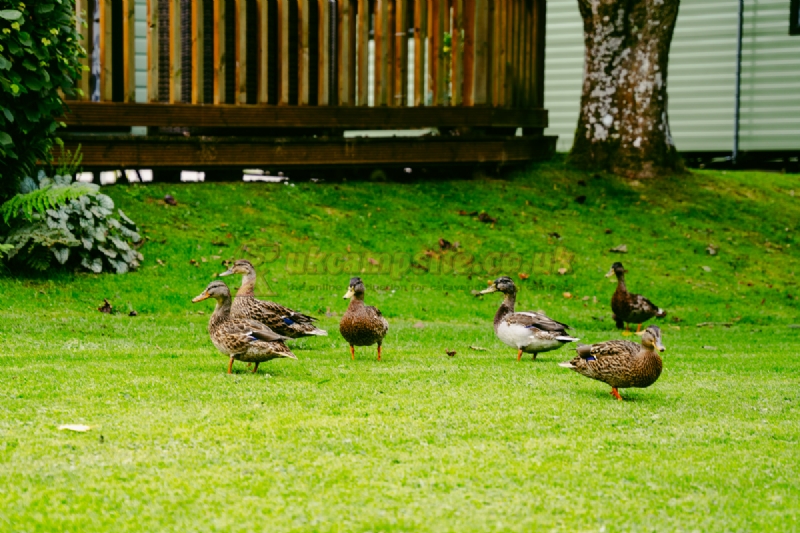 Riverbend Caravan Park