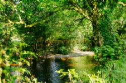 Riverbend Caravan Park
